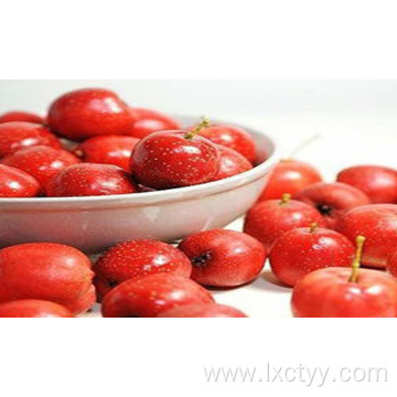 fresh hawthorn berry Fruits